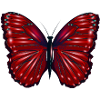 Red fantasy butterfly with highlights