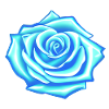 Blaue Rose