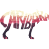 Capybara Silhouette