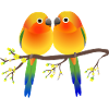 Two cute sun parakeets
