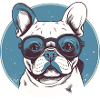 French Bulldog Sunglasses