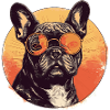 French Bulldog Sunglasses
