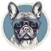 French Bulldog Sunglasses