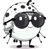 Ali ladybug