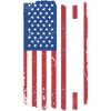 Sport Us Flag Curling