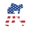 Sport Us Flag Curling