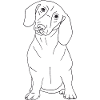Dackel