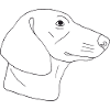 Dackel