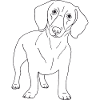 Dackel