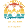 Pickleball Grandpa Pickleball Player