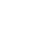 Memento Mori Skull