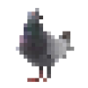 Pixel Taube
