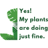 Quote Hive