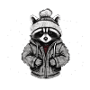 Cool Raccoon