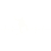 Pulse Stroke Snowboarding