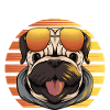 Dog says Hi