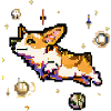 corgi