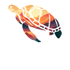 Turtle Sea Turtle Tortoise