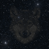 originelle Wildtierdesigns, Wolfkopf nachtmuster
