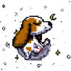 Beagle Head