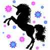 Unicorn Shadow