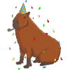 Capybara Birthday