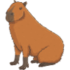 Sweet Capybara
