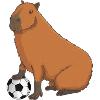 Capibara Voetbal