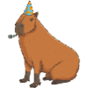 Capybara Birthday