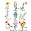 Flowers, fleurs
