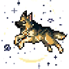 German Shepard