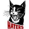 Cat and hater