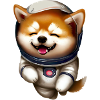 shiba inu
