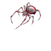 Yuck, humans, spider
