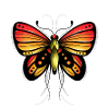 Schmetterling