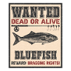 Wanted fish - Bluefish Fishing