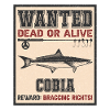 Wanted fish - Cobia Fishing