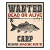 Wanted fish - carp fishing