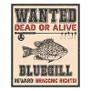 Wanted fish – Bluegill Fishing