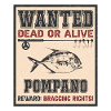 Wanted fish - Pompano Fishing