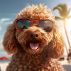 Barboncino con occhiali da sole in vacanza sulla spiaggia