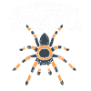 Tarantula Lovers Spider Lovers