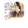 Bernese Mountain Dog
