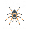Spider lover arachnology