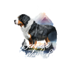 Bernese Mountain Dog