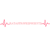 EKG- Katatstrophenschutz