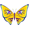 Miss Butterfly