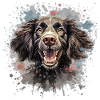 Chien