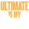 Ultimate Frisbee Throwing Disc
