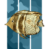 Poisson